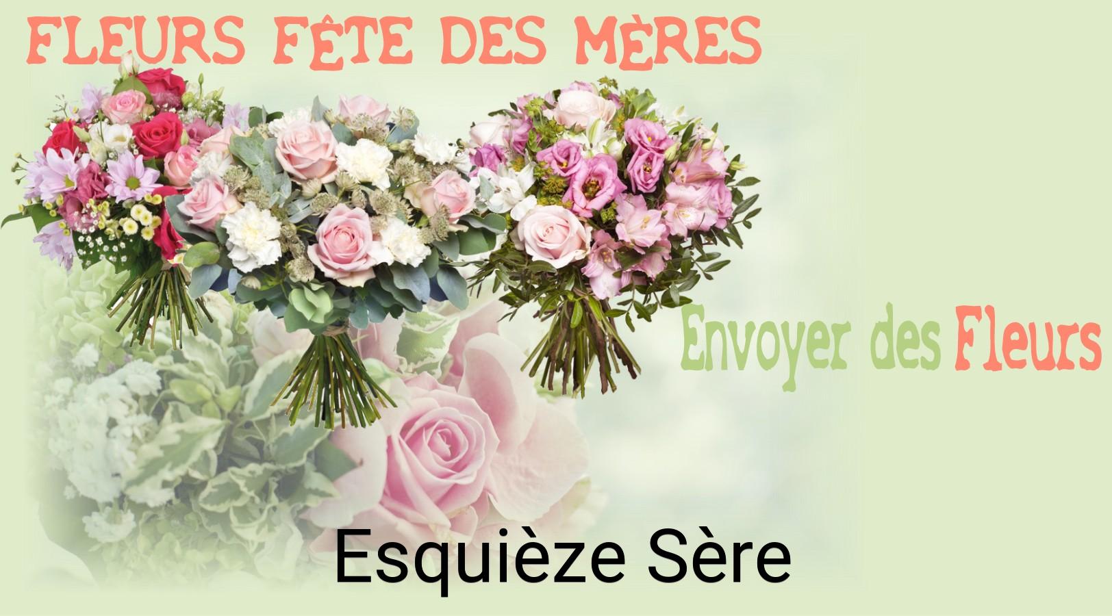 Bouquet de Fête des Mères livré à Esquièze-Sère